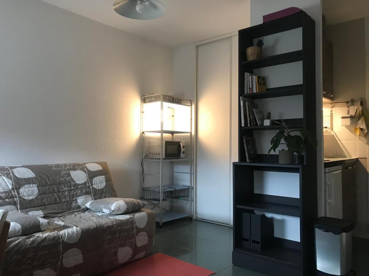 Appartement Dans Toulouse Hyper Centre エクステリア 写真